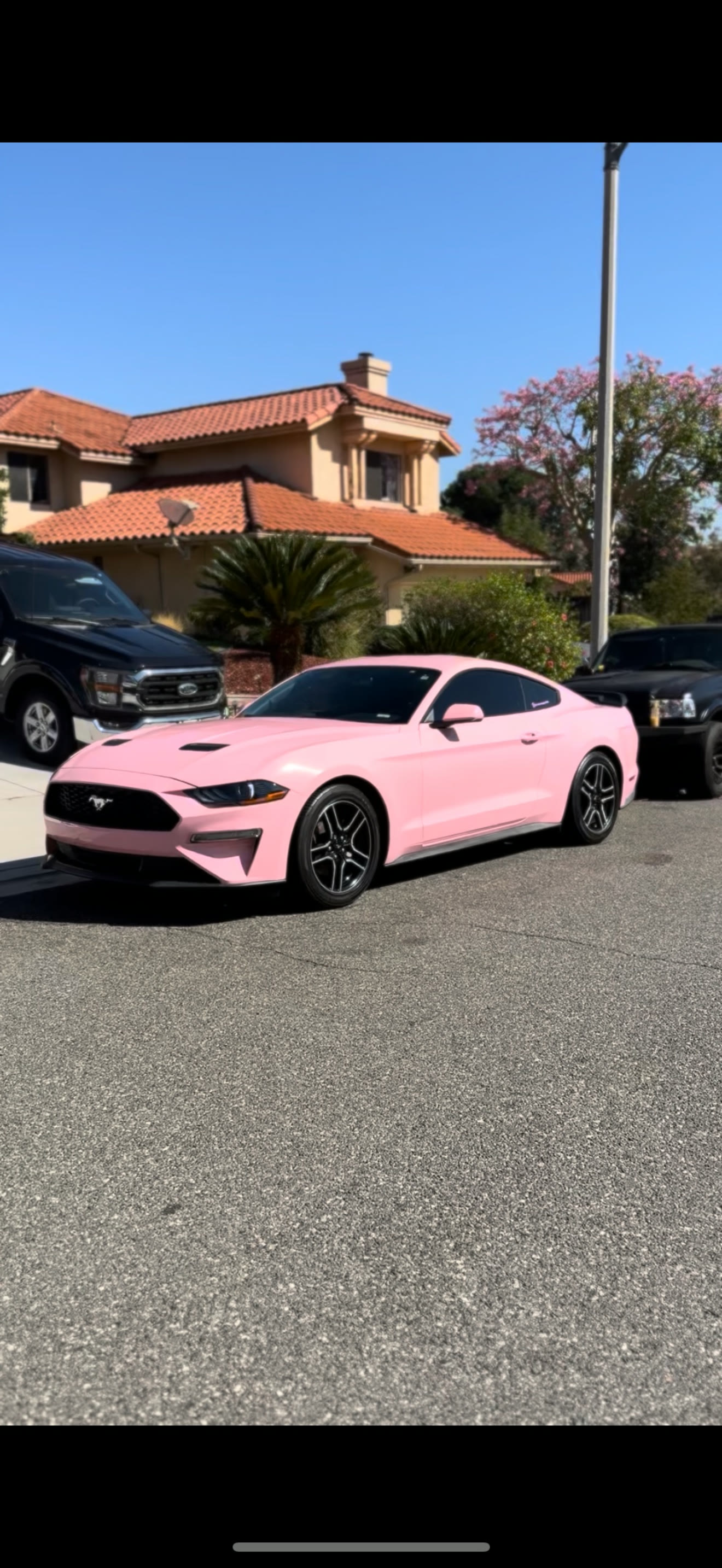 Pink Ford Mustang GT S550 vinyl wrap